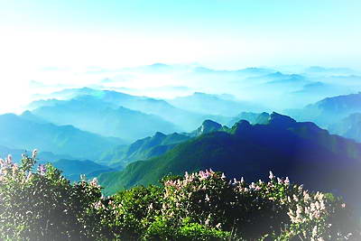 北京百花山