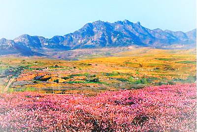 诸城马耳山景区