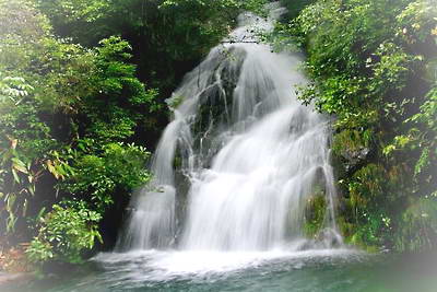 浦江水竹湾森林公园