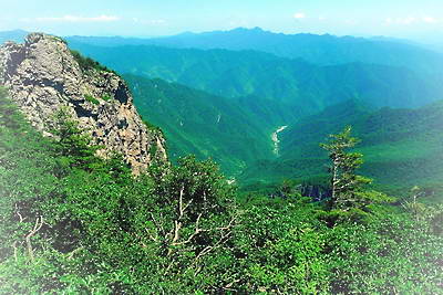 柞水牛背梁森林公园