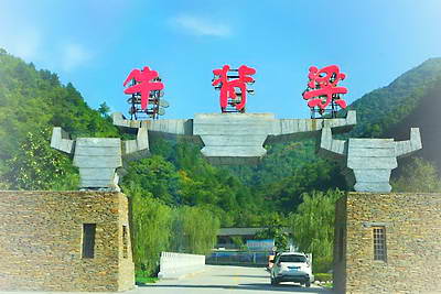 柞水牛背梁森林公园