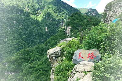 柞水牛背梁森林公园