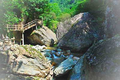 柞水牛背梁森林公园