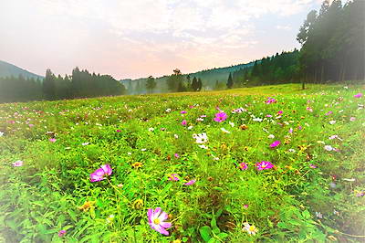 武陵山国家森林公园