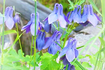 伊春平顶山景区