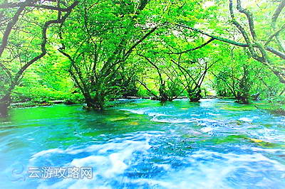 荔波小七孔景区