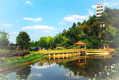 贵州龙架山森林公园