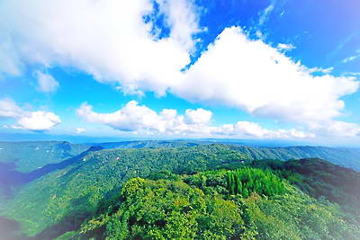 石柱大风堡原始森林景区
