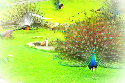 莒县浮来青旅游度假区