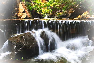 邹平鹤伴山森林公园
