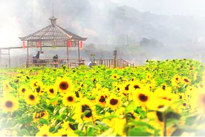 汕头丹樱生态园