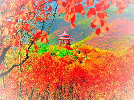 桐柏黄岗红叶园