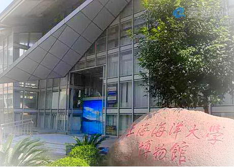 上海海洋大学博物馆