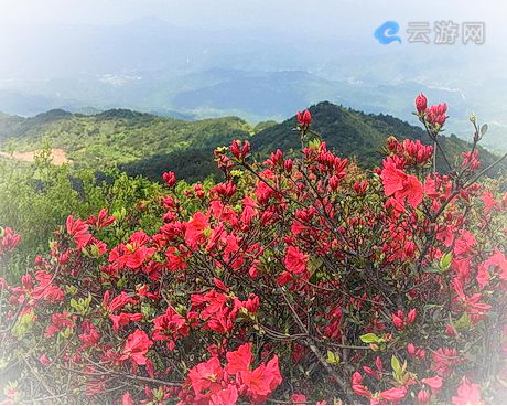 石城八卦脑风景区