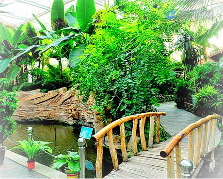 营口忆江南温泉谷