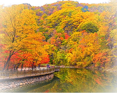 凤城蒲石河森林公园