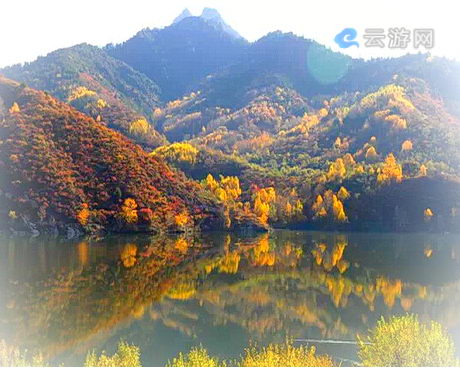 方山南阳沟森林公园