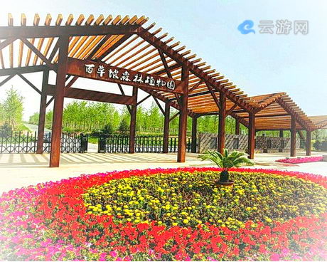 晋中百草坡森林植物园