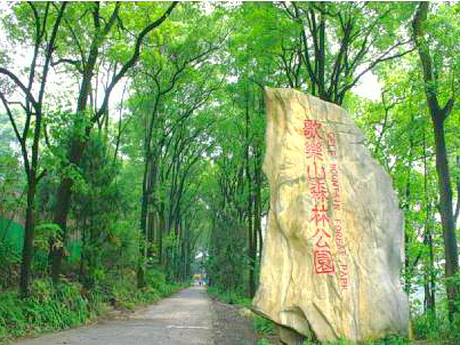 重庆沙坪坝歌乐山森林公园