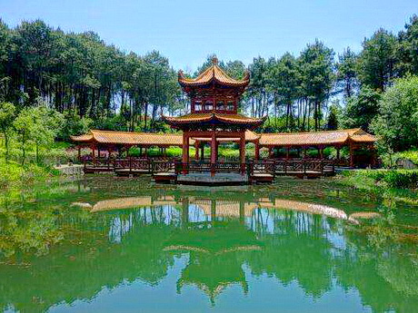 重庆江北铁山坪森林公园