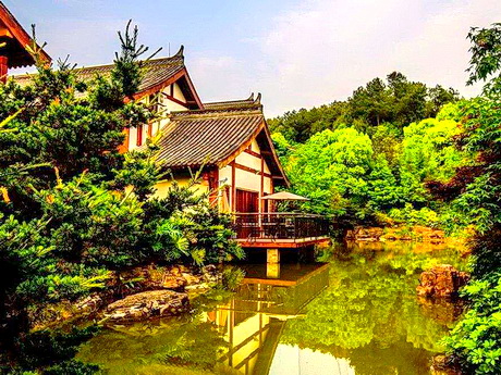 重庆江北铁山坪森林公园