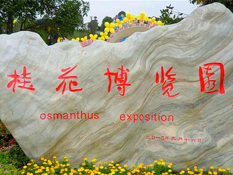 铜陵西部桂花博览园