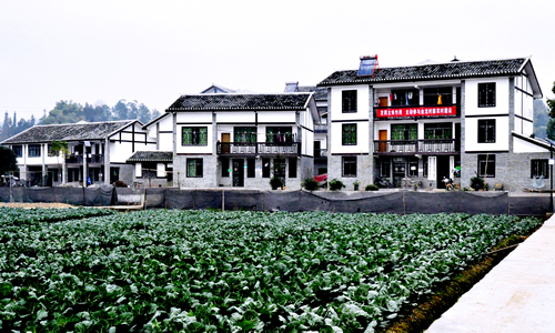 金龙村风光