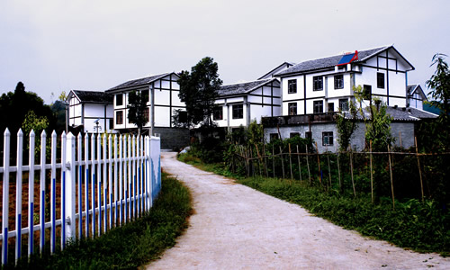 金龙村风光