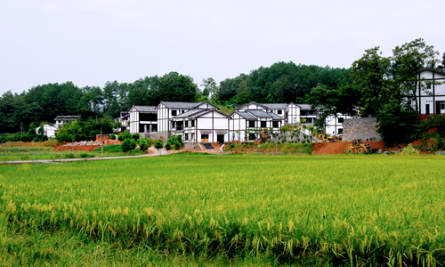 铁桥村风光
