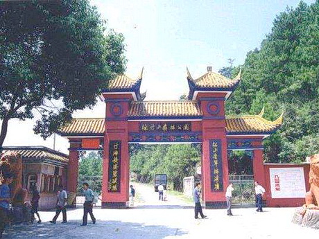 重庆垫江楠竹山森林公园