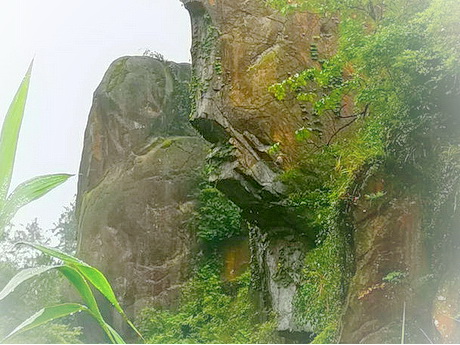 重庆垫江东印茶山景区