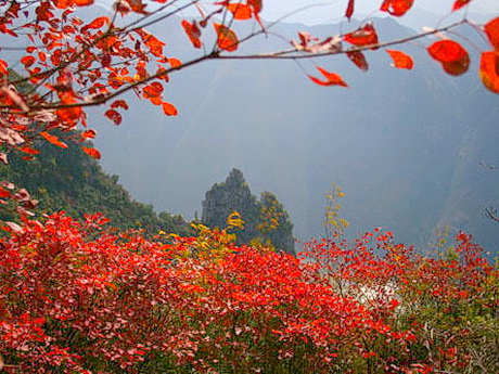 位于重庆巫山县东北部