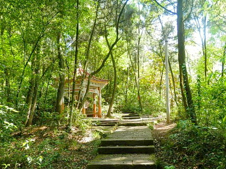 重庆潼南马鞍山森林公园