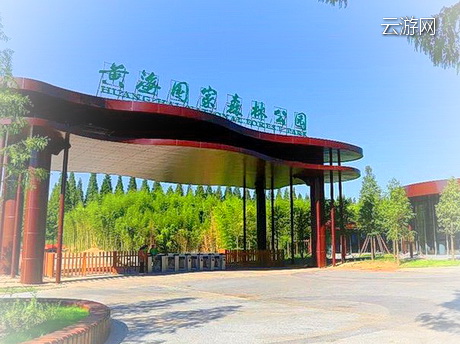 东台黄海海滨国家森林公园