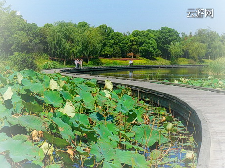 无锡滨湖区管社山庄公园