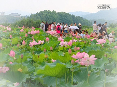 无锡滨湖区管社山庄公园