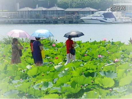 无锡滨湖区管社山庄公园