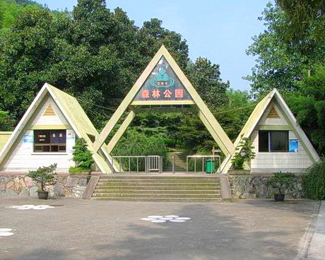 杭州东明山森林公园