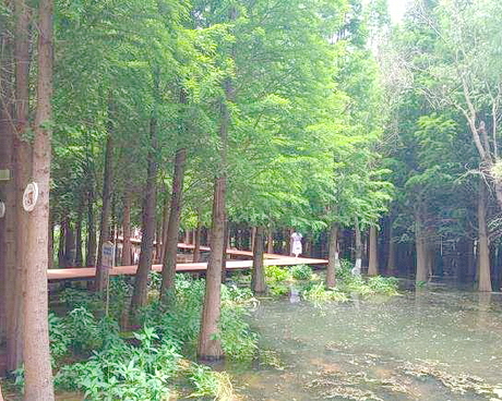 昆明捞鱼河湿地公园