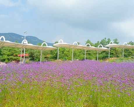 香草芳林休闲庄园