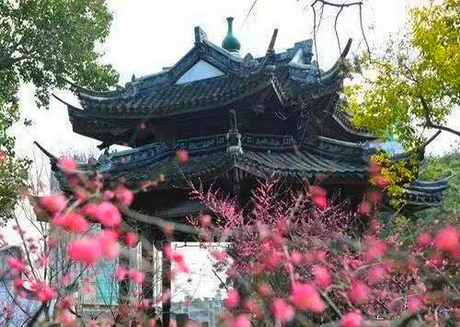 嘉兴瓶山公园