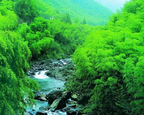 安吉龙王山