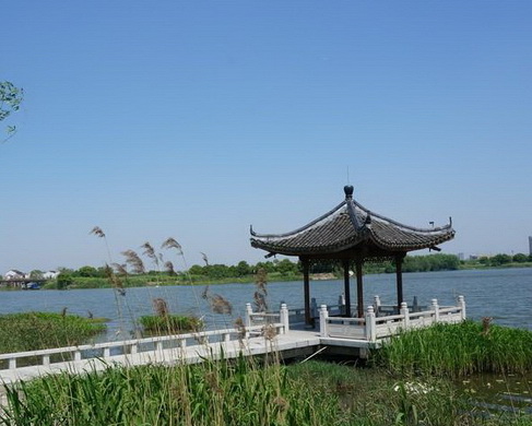 西山漾湿地公园