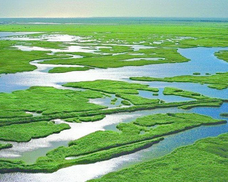 湖州德清下渚湖湿地公园