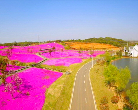 龙灵山生态公园