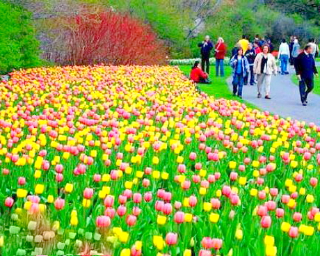 小溪塔森林公园/夷陵森林公园