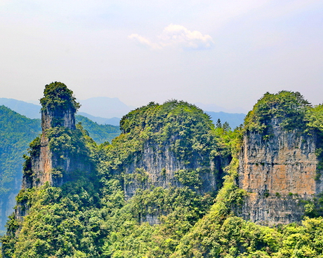 秭归三峡芝兰谷风景区