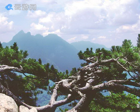 十堰赛武当风景区