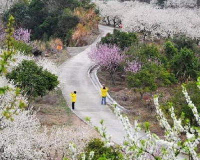 御景峰国家森林公园