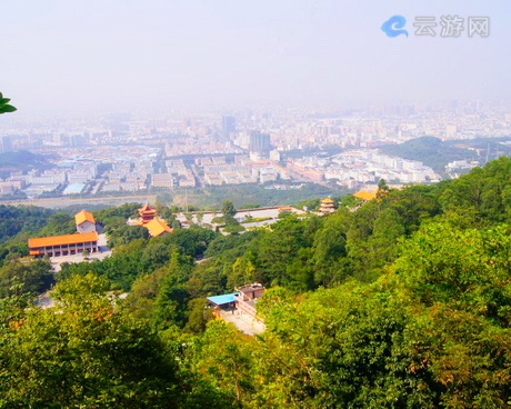 深圳永福凤凰山森林公园